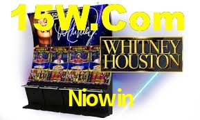VIP Casino Niowin